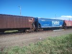 RUMO HTT-351461-7